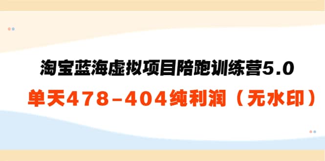 黄岛主：淘宝蓝海虚拟项目陪跑训练营5.0：单天478纯利润（无水印）