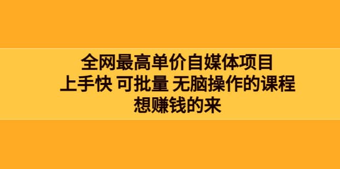 全网最单高价自媒体项目：上手快 可批量 无脑操作的课程，想赚钱的来