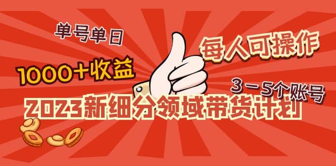 2023新细分领域带货计划：单号单日1000 收益不难，每人可操作3-5个账号