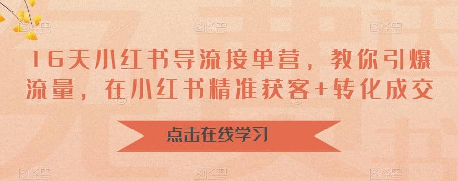 16天-小红书 导流接单营，教你引爆流量，在小红书精准获客 转化成交