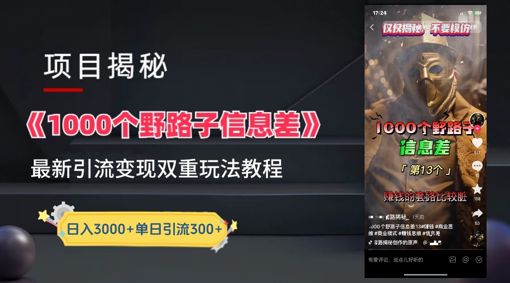 一千个野路子信息差24年最新玩法教程附带变现方法和引流的玩法具体拆解