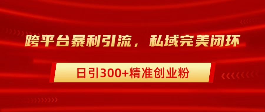 跨平台暴力引流，私域完美闭环，日引300+精准创业粉