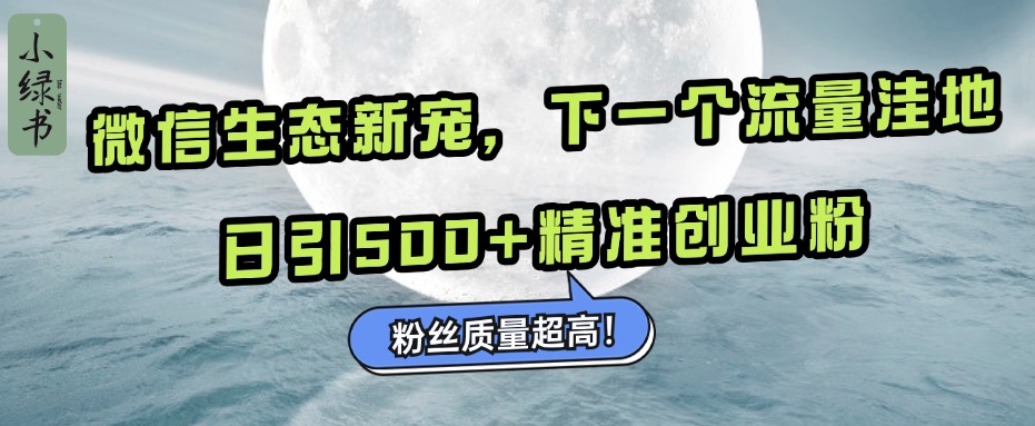 微信生态新宠小绿书：下一个流量洼地，粉丝质量超高，日引500+精准创业粉，